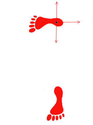 back stance, kokotsu dachi