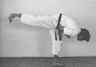 back kick