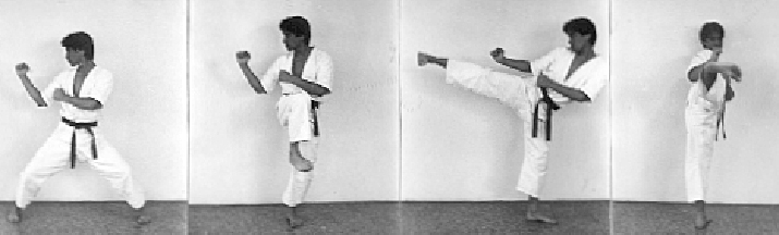 side kick